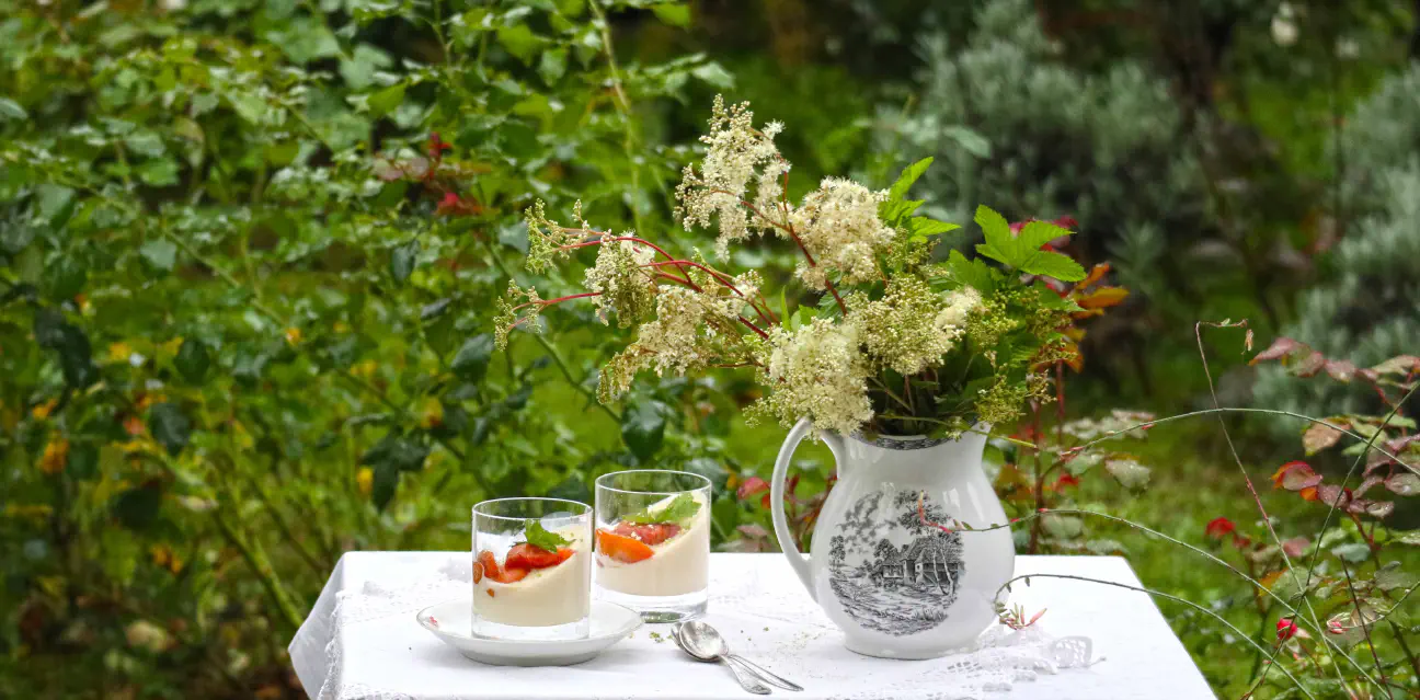 Panakota z osladom in karameliziranimi marelicami je samo eden izmed receptov v knjigi Narava vedno zmaga.