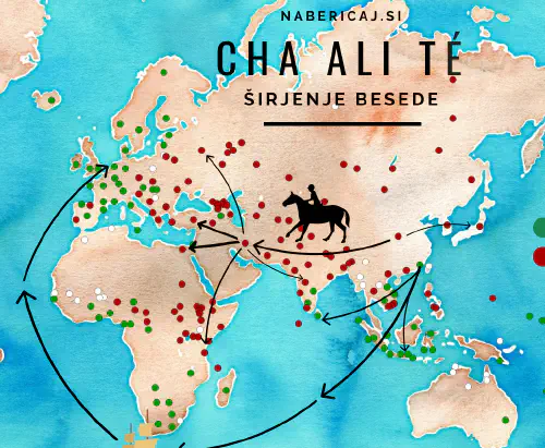 Cha ali té? Zakaj svet pozna zgolj dve besedi za čaj?