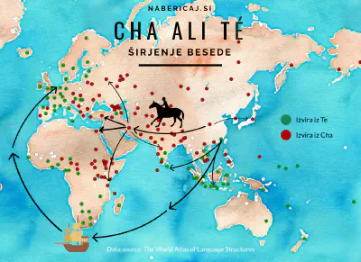 Cha ali té? Zakaj svet pozna zgolj dve besedi za čaj?