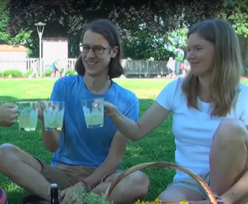 Katere rastline nabiramo na začetku poletja?