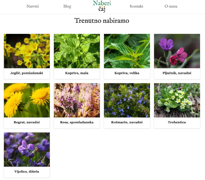 Iz glavne strani pridemo na koledar nabiranja rastlin po posameznih mesecih, pri katerem so za marec opisane naslednje rastline prikazane na sliki.