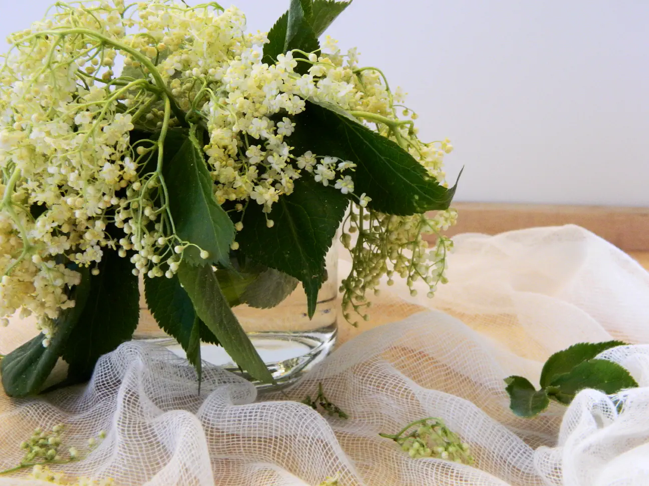 Ko zadiši po bezgu ...