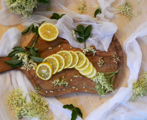 Mojih 5 najljubših receptov z bezgom