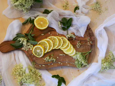 Mojih 5 najljubših receptov z bezgom