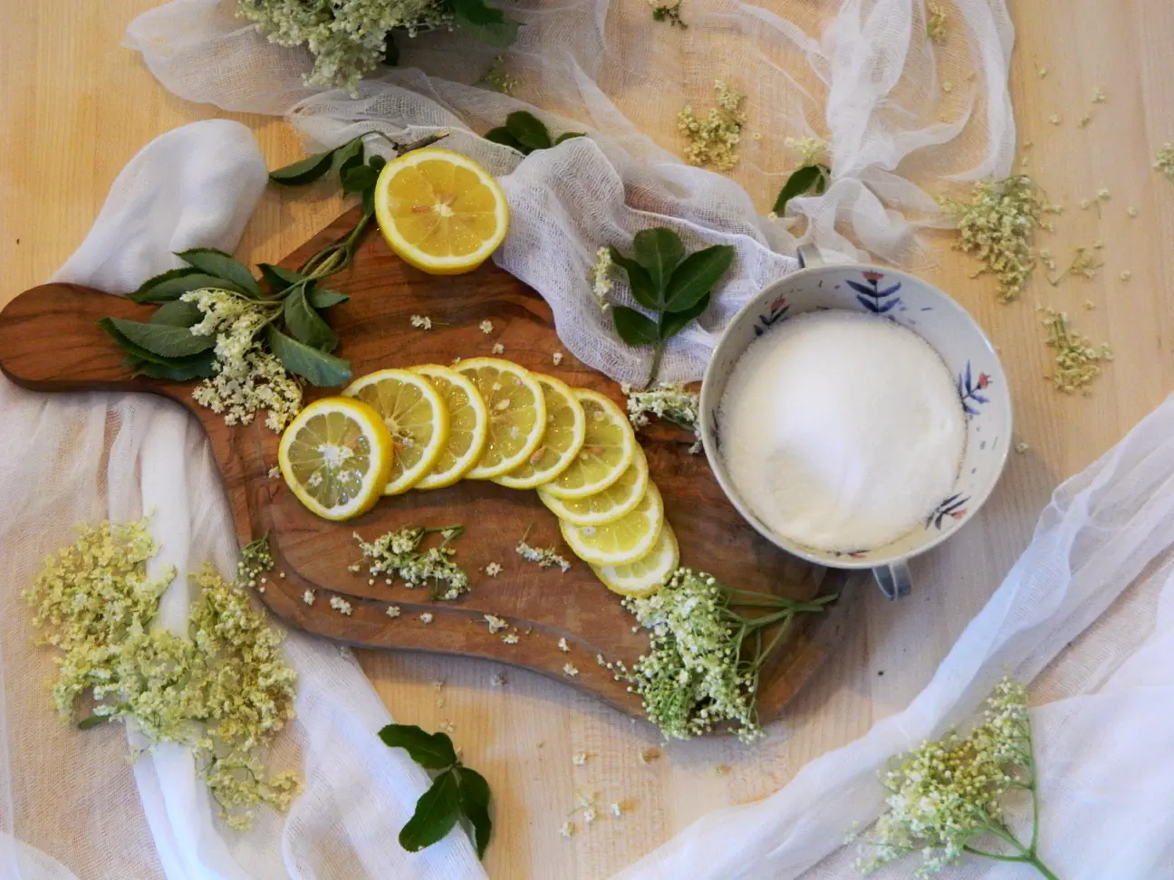 Za šabeso potrebujete bezgove cvetove, sladkor, limone in kis.