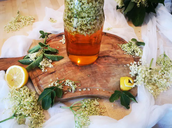 Za bezgov kis cvetove dlje časa namakamo v jabolčnem kisu.